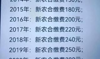 社保缴费又涨价了2024