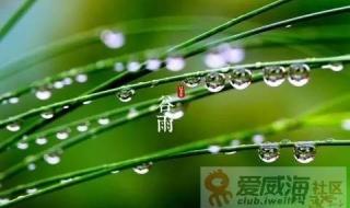 谷雨节气的来历是什么?