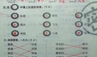 小学二年级语文试卷