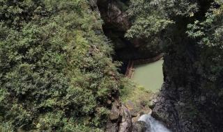 重庆黑山谷一日游